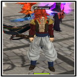 กล่องชุด (ซุปเปอร์ไซย่า 4)